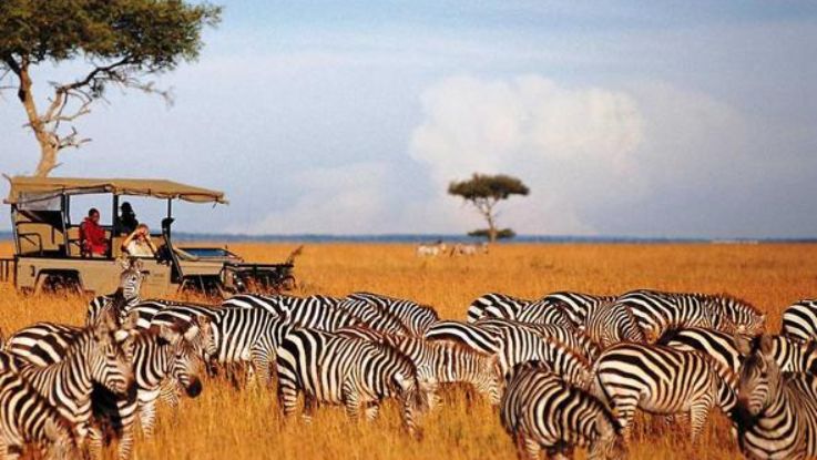 Safari_Karibu_12_dias_2026